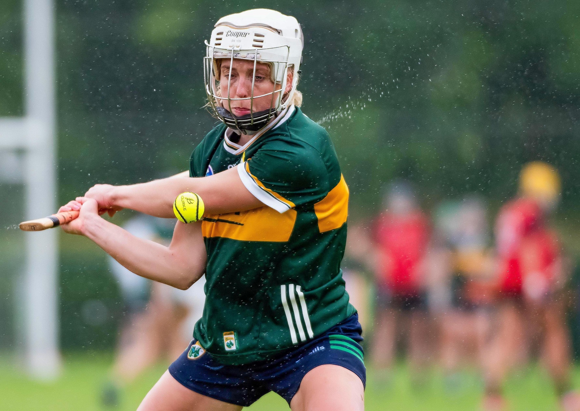 Camogie: Patrice Diggin the hero as Kerry edge Down late on