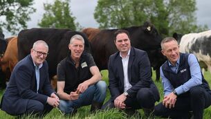 <p>Tesco Ireland CEO, Geoff Byrne; Twenty20 Beef Club farmer, TJ Kealy; agriculture minister Martin Heydon and Kepak CEO, Brian Tormey launched Tesco's new lower carbon Irish beef range. Picture: Julien Behal</p> <p>Tesco Ireland CEO, Geoff Byrne; Twenty20 Beef Club farmer, TJ Kealy; agriculture minister Martin Heydon and Kepak CEO, Brian Tormey launched Tesco's new lower carbon Irish beef range. Picture: Julien Behal</p>