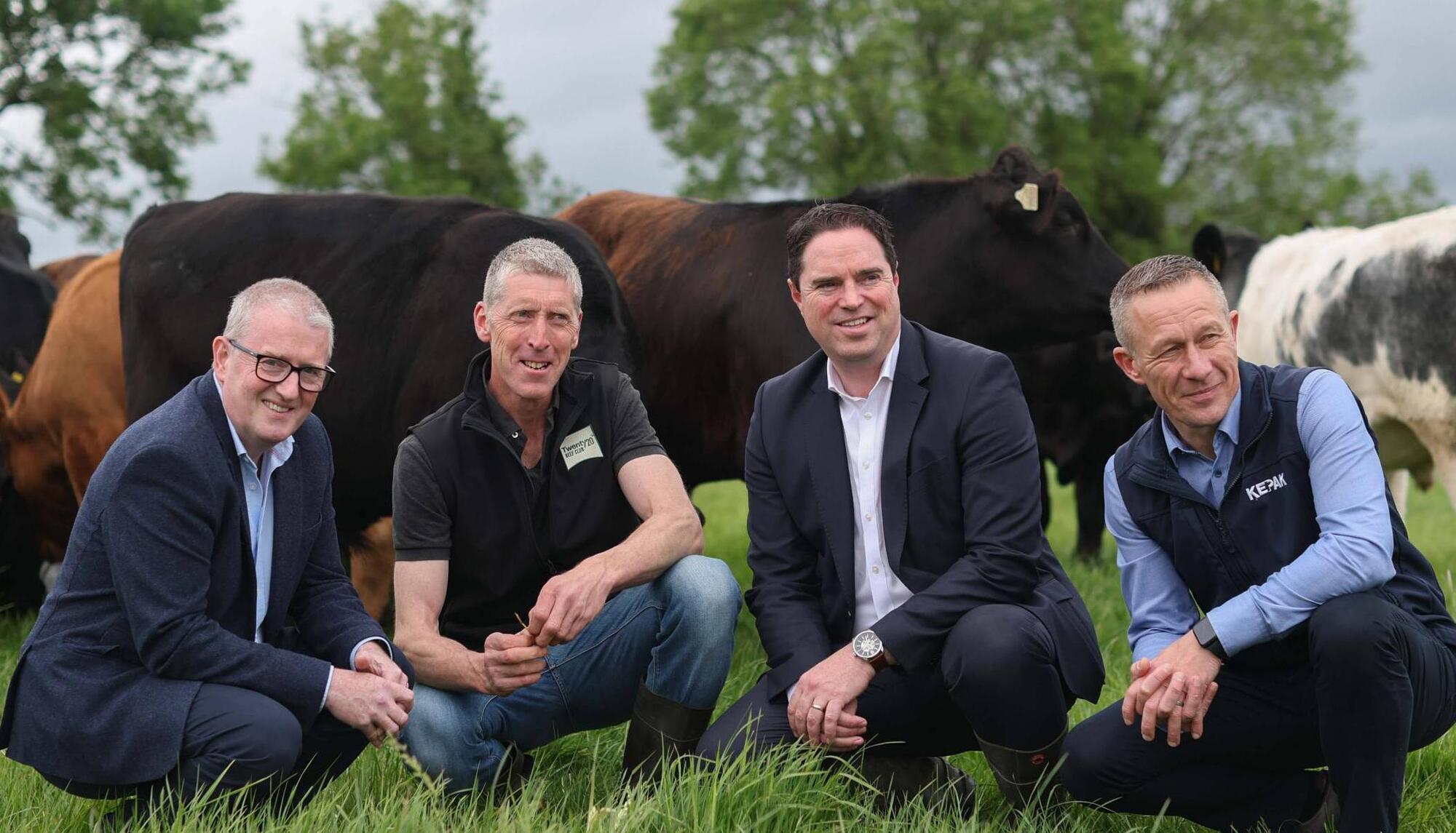 Tesco launches lower carbon beef range