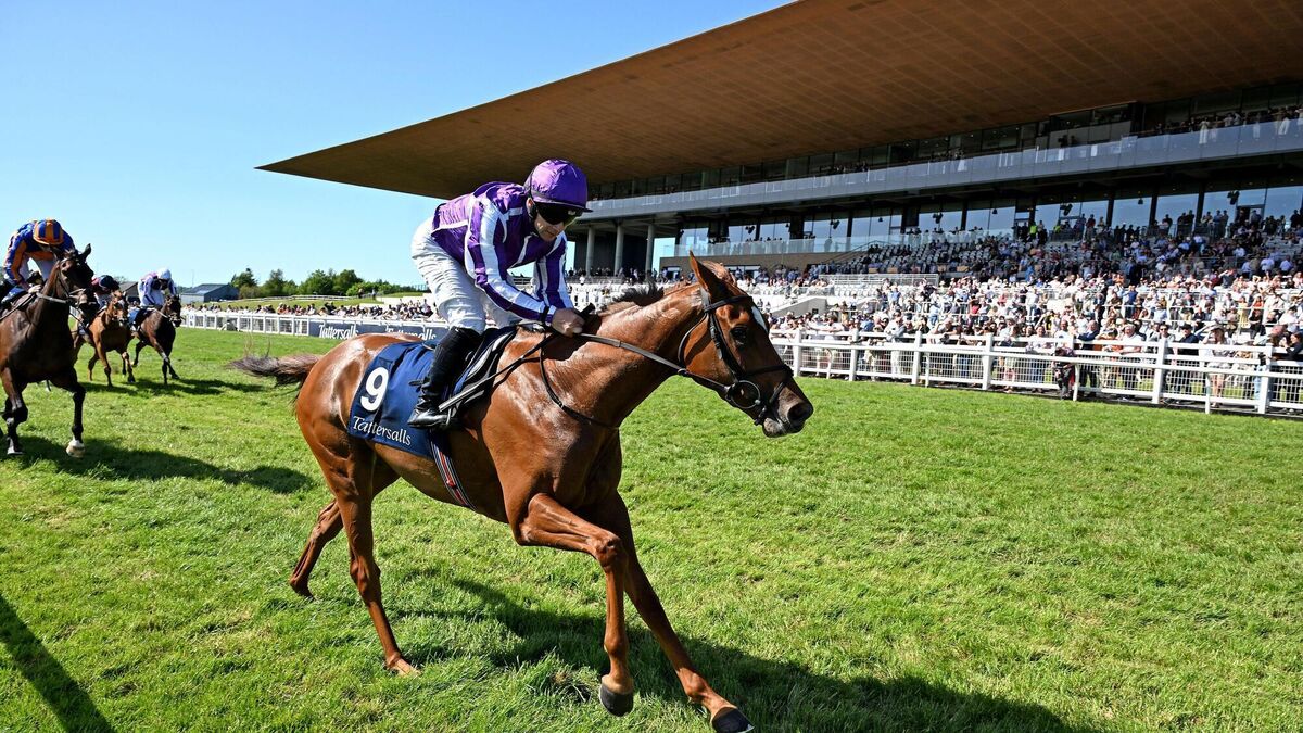 Second choice proves lovely for Lordan