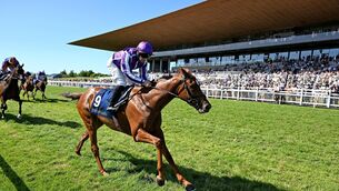 <p>Precise and Wayne Lordan win the Tattersalls Irish 1000 Guineas for trainer Aidan O'Brien at the Curragh. Picture: Healy Racing</p> <p>Precise and Wayne Lordan win the Tattersalls Irish 1000 Guineas for trainer Aidan O'Brien at the Curragh. Picture: Healy Racing</p>