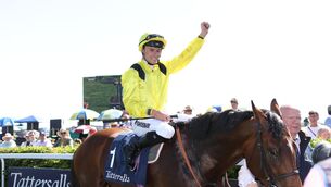 <p>Almaqam, ridden by Kieran Shoemark, after winning the Tattersalls Gold Cup on day two of the Tattersalls Irish Guineas Weekend at The Curragh Racecourse. Picture: Evan Treacy/PA</p> <p>Almaqam, ridden by Kieran Shoemark, after winning the Tattersalls Gold Cup on day two of the Tattersalls Irish Guineas Weekend at The Curragh Racecourse. Picture: Evan Treacy/PA</p>