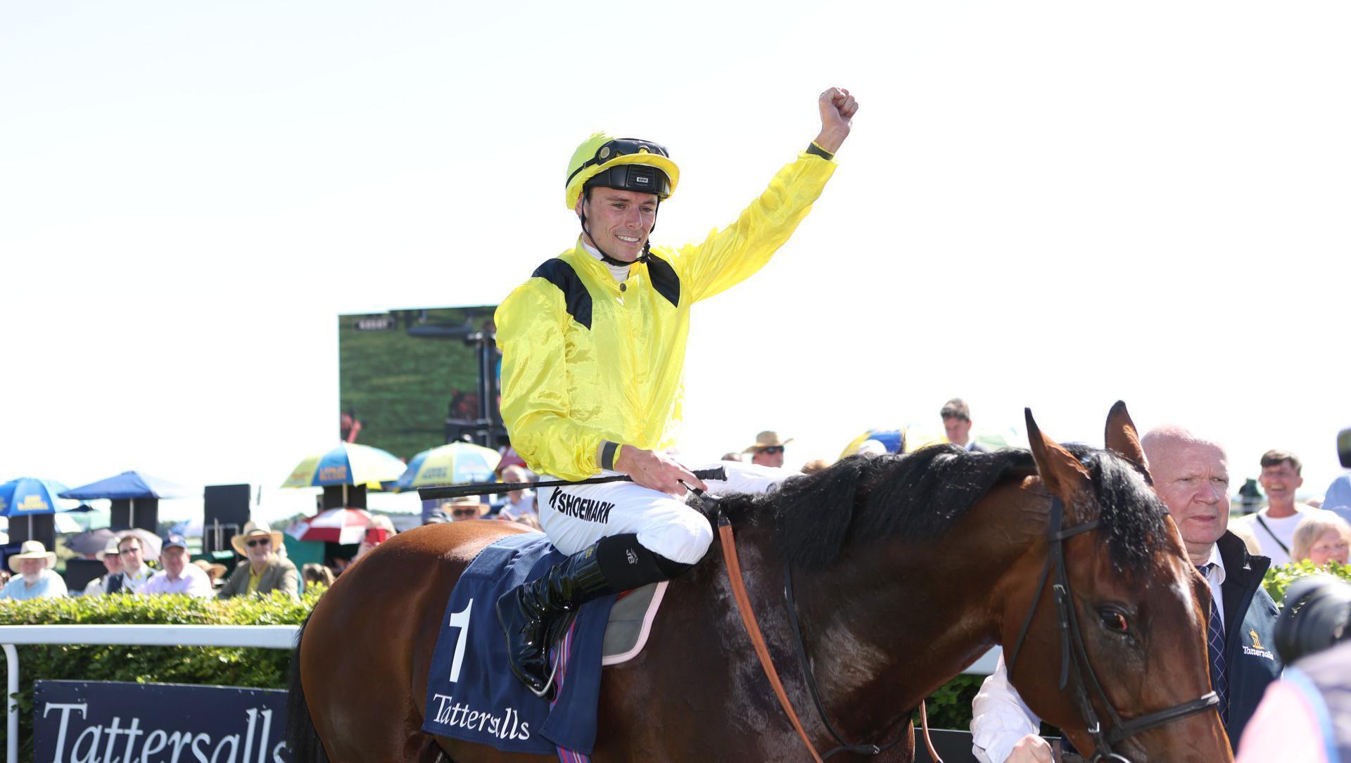 British raiders put paid to Irish in Tattersalls Gold Cup