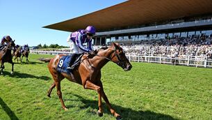 <p>Precise and Wayne Lordan win for trainer Aidan O'Brien. Pic: Healy Racing</p>