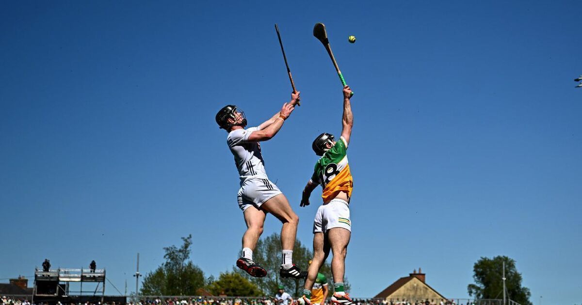 Anthony Daly: Cork and Limerick sharpen their teeth for savagery