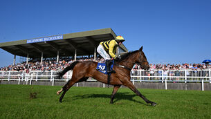 <p>Native Speaker and Darragh O'Keeffe won the Mayo National for trainer Henry de Bromhead at Ballinrobe. Pic: Healy Racing</p> <p>Native Speaker and Darragh O'Keeffe won the Mayo National for trainer Henry de Bromhead at Ballinrobe. Pic: Healy Racing</p>