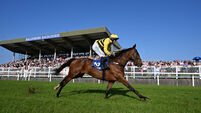 Ruby Walsh: Seeing value in the ones that chase home the hotpots Ruby Walsh: Seeing value in the ones that chase home the hotpots