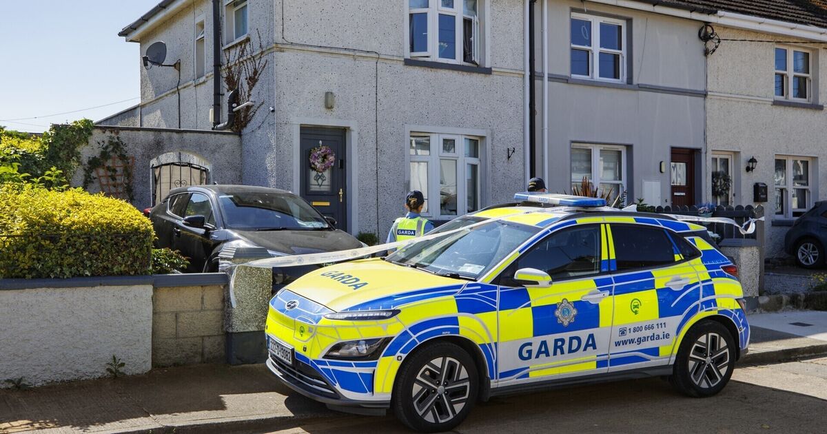 Gardaí question woman in connection with disappearance of Kyran Durnin