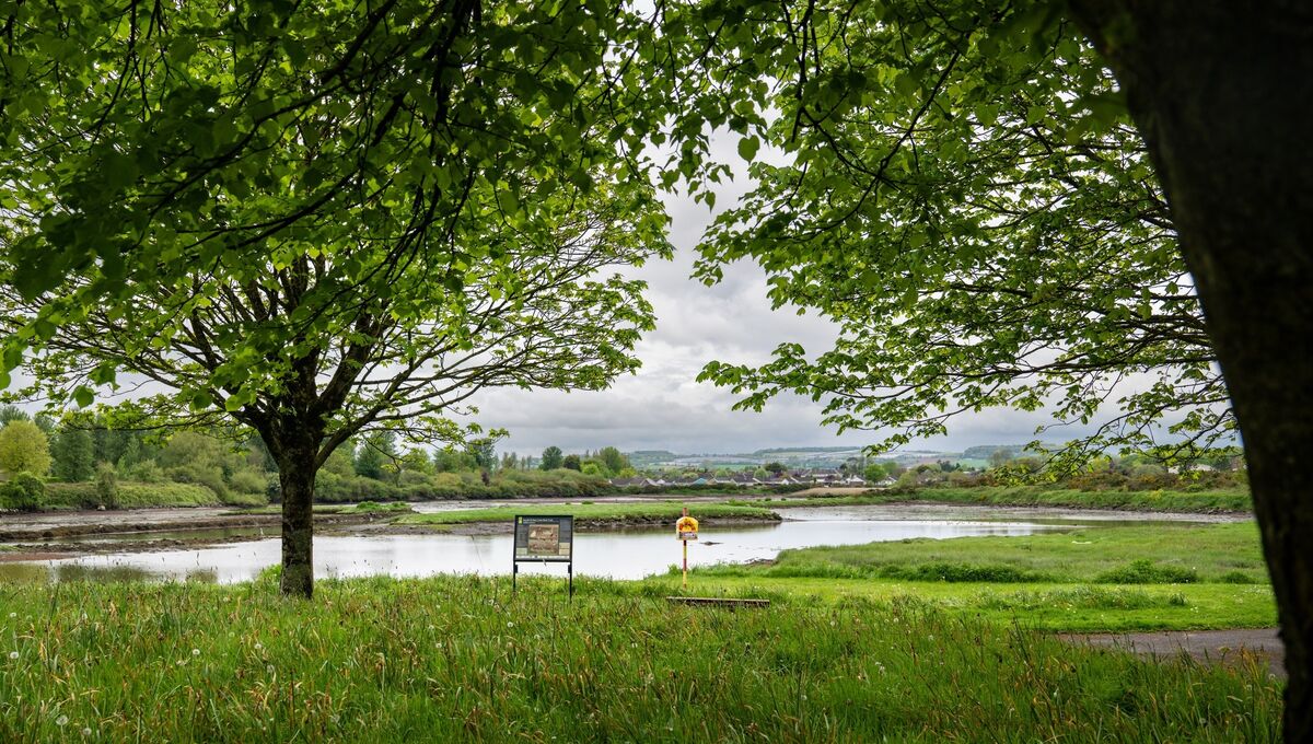 A view across the Midleton estuary highlights the natural beauty on the town’s doorstep, balancing its rapid development with access to scenic coastal and wildlife-rich environments. Picture: Chani Anderson