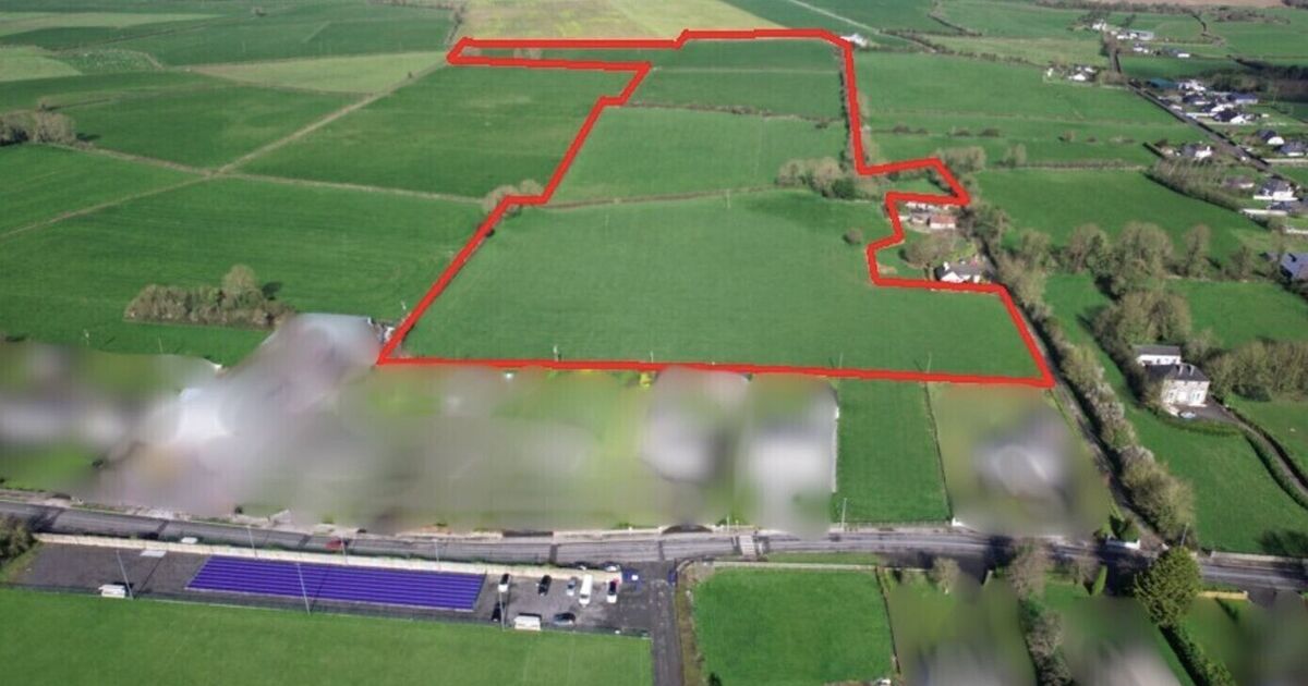 May auctions see 48 acres of Golden Vale farms fetch over €1.1m