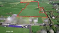 May auctions see 48 acres of Golden Vale farms fetch over €1.1m