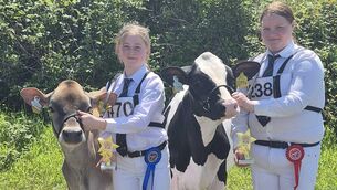 <p>Aisling Murphy with Rathard Sting Kaela and Georgie Hynes with Rathard Legit Sparkle at the Midleton Show.</p> <p>Aisling Murphy with Rathard Sting Kaela and Georgie Hynes with Rathard Legit Sparkle at the Midleton Show.</p>
