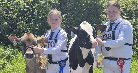 Paula Hynes: A year of much progression