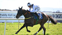 Colcannon can get over Punchestown disappointment at Wexford