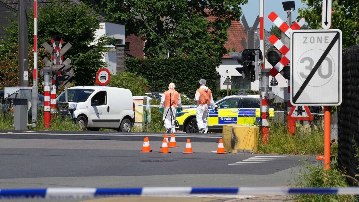 Four people killed in Belgium in train and school bus collision