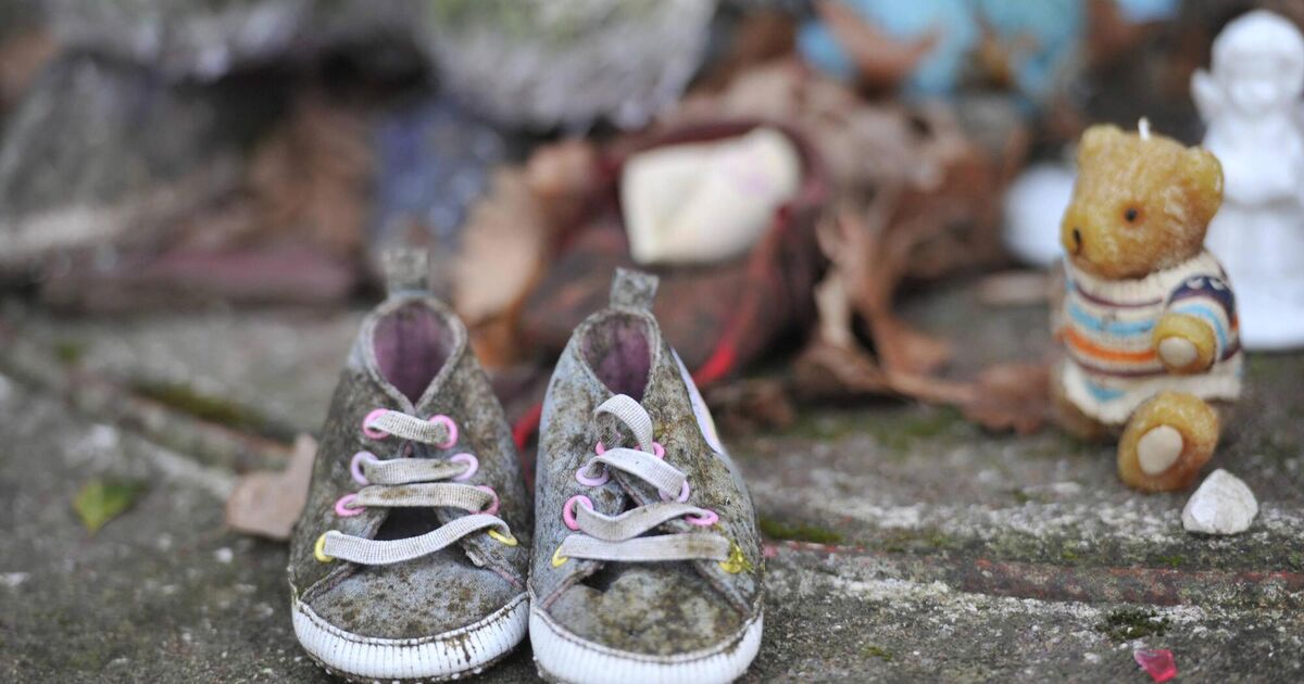 Government accused of reneging on State apology to mother and baby home survivors
