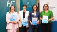 Two Irish children to be placed on Interpol red notice, Tánaiste promises mother Two Irish children to be placed on Interpol red notice, Tánaiste promises mother
