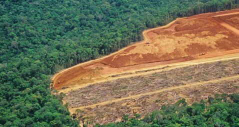 Deforestation in the Amazon