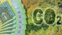 Cost about CO2 reduction - concept with CO2 text against woodland and european euro banknote