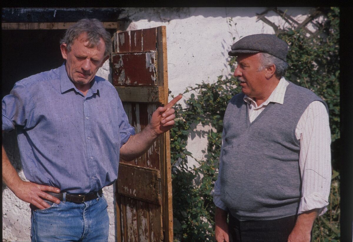 A Glenroe revival would be a sure-fire ratings winner and bring RTÉ back in from the cold. A Glenroe revival would be a sure-fire ratings winner and bring RTÉ back in from the cold.