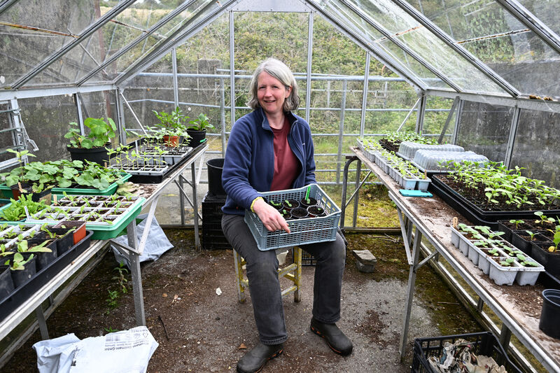  Ruth Fortune working with seedlings in the glasshouse at her flower farm at Glandore, Co. Cork. Picture: Larry Cummins