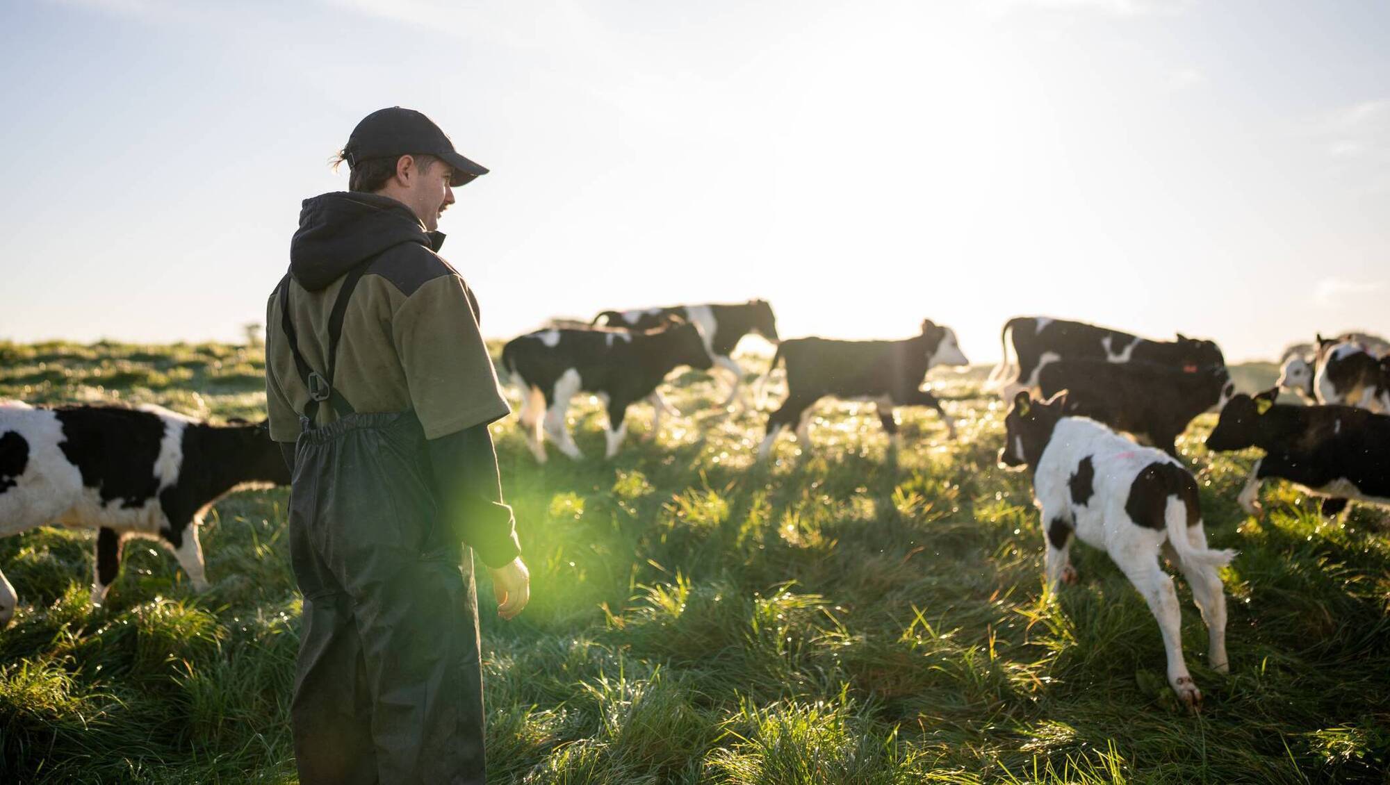 Herd Tasks: Your weekly farming checklist