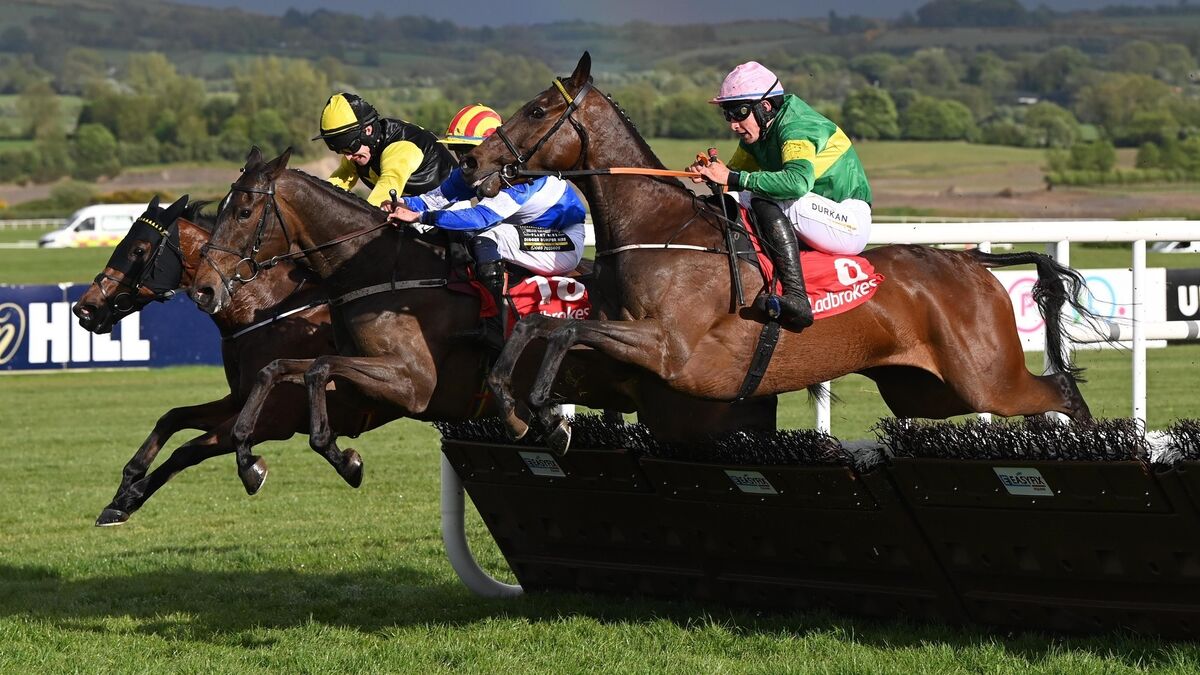 Marian Avenue can thrive over longer trip at Limerick