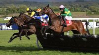 Marian Avenue can thrive over longer trip at Limerick