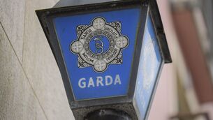<p>Fiosrú received 30 referrals from gardaí in relation to incidents of death or serious injury. These included nine road traffic incidents, four incidents in garda custody, seven apparent suicides, and six incidents of alleged sexual offence or abuse of power for a sexual purpose by a garda.</p> <p>Fiosrú received 30 referrals from gardaí in relation to incidents of death or serious injury. These included nine road traffic incidents, four incidents in garda custody, seven apparent suicides, and six incidents of alleged sexual offence or abuse of power for a sexual purpose by a garda.</p>