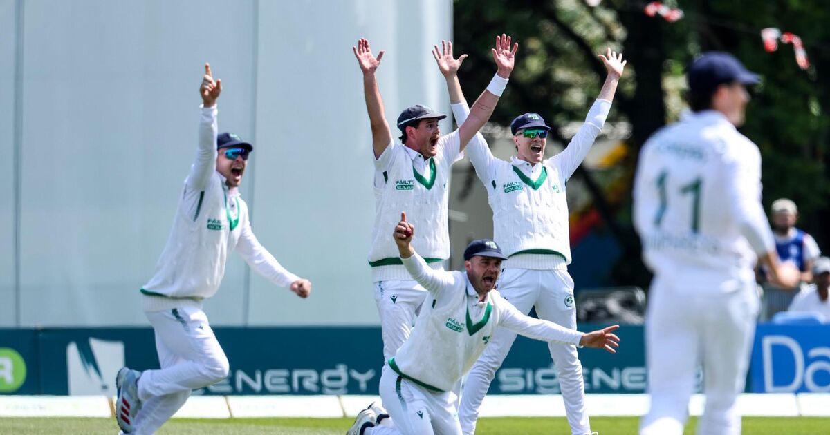 New Zealand take charge against of first test against Ireland