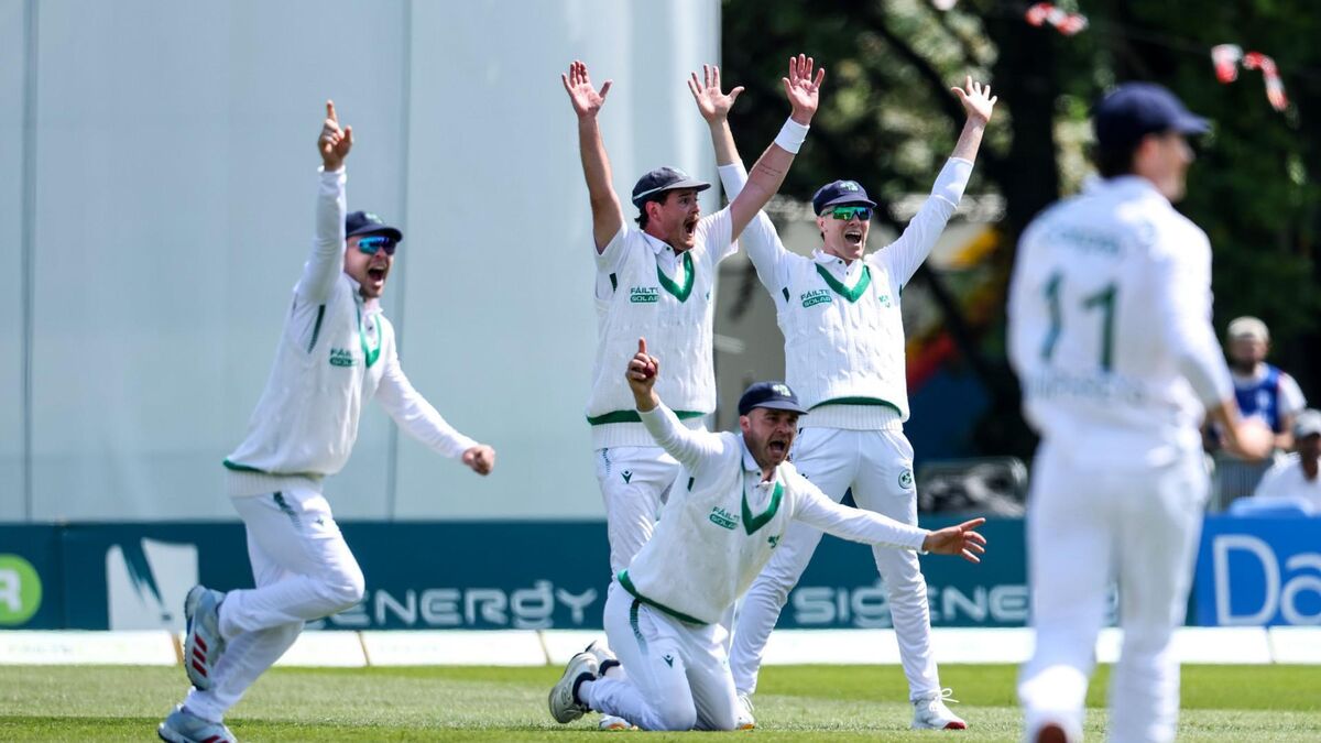 New Zealand take charge against of first test against Ireland