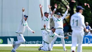 <p>Ireland’s Mark Adair and Harry Tector appeal for a wicket during the Failte Solar International Test Match against New Zealand at Stormont. Picture: Nick Elliott/Inpho</p> <p>Ireland’s Mark Adair and Harry Tector appeal for a wicket during the Failte Solar International Test Match against New Zealand at Stormont. Picture: Nick Elliott/Inpho</p>
