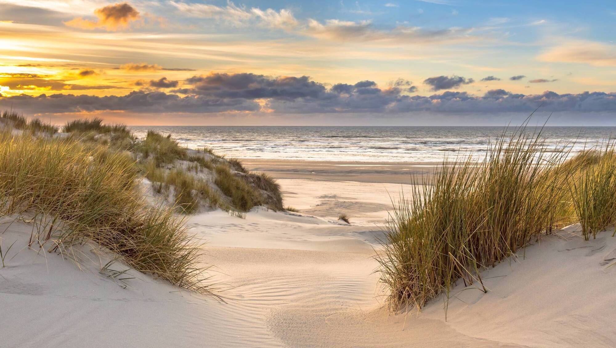 Sands running out:  Natural solutions to combat coastal erosion