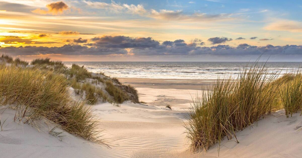 Sands running out: Natural solutions to combat coastal erosion