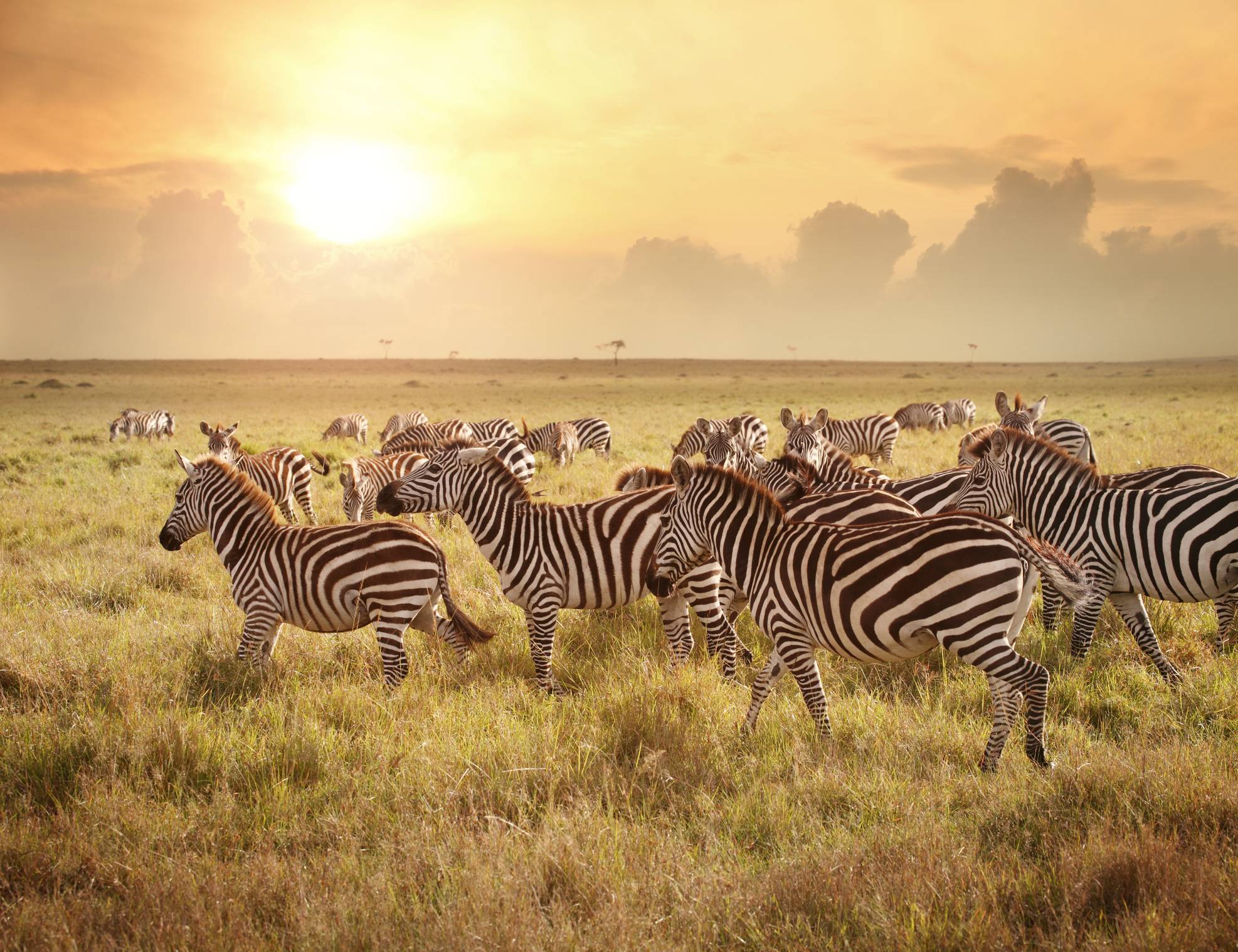 Departure Lounge: An eight-night trip to Kenya with safaris and shores