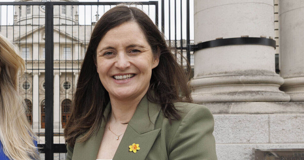 Fianna Fáil's Catherine Ardagh takes junior minister role following Michael Healy Rae's departure