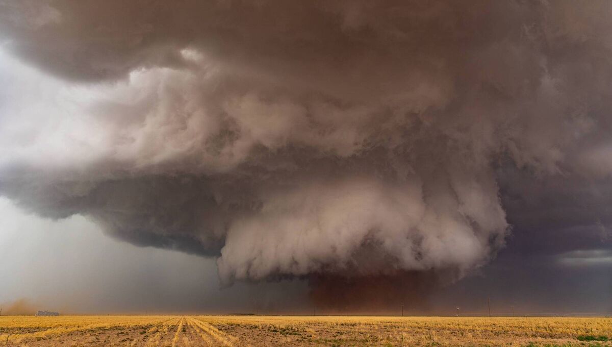 Image of the Morton Wedge captured by storm chaser Noel Fitzpatrick. The exceptionally wide tornado can frequently be spotted near the town of Morton, Texas. Image of the Morton Wedge captured by storm chaser Noel Fitzpatrick. The exceptionally wide tornado can frequently be spotted near the town of Morton, Texas.