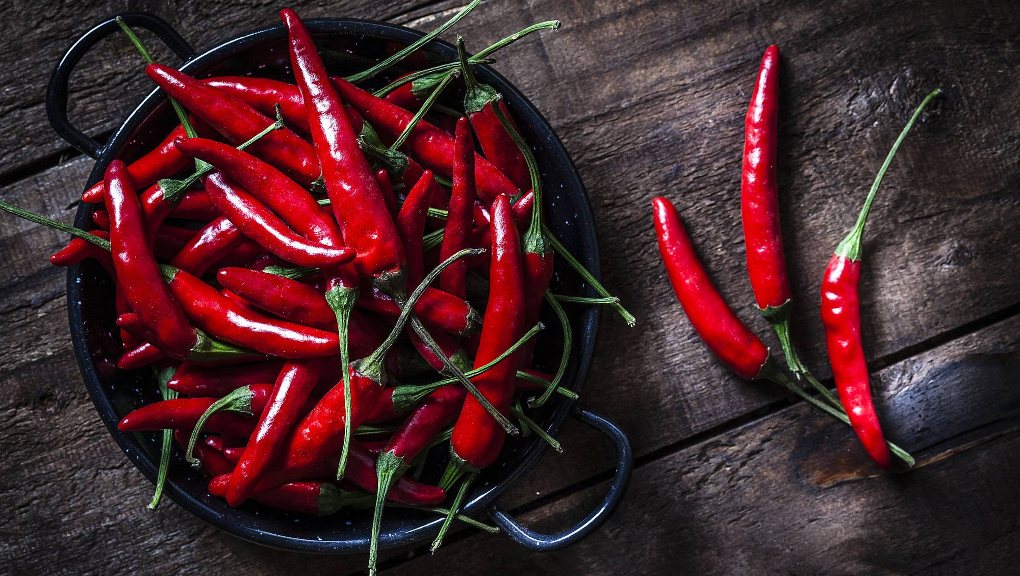 Joe McNamee: Learning to beat the heat at the Irish Chilli Festival