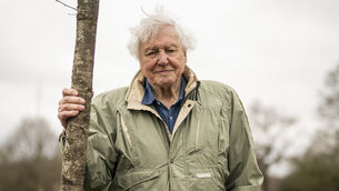 <p>Colm O'Regan: ''Skip intro?' says the screen. Not bloody likely. Sir David is part of my five-a-day these days.'</p> <p>Colm O'Regan: ''Skip intro?' says the screen. Not bloody likely. Sir David is part of my five-a-day these days.'</p>
