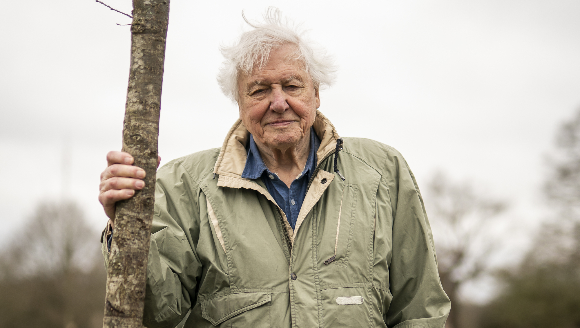 Colm O'Regan: David Attenborough is part of my five-a-day and Prehistoric Planet is appointment TV