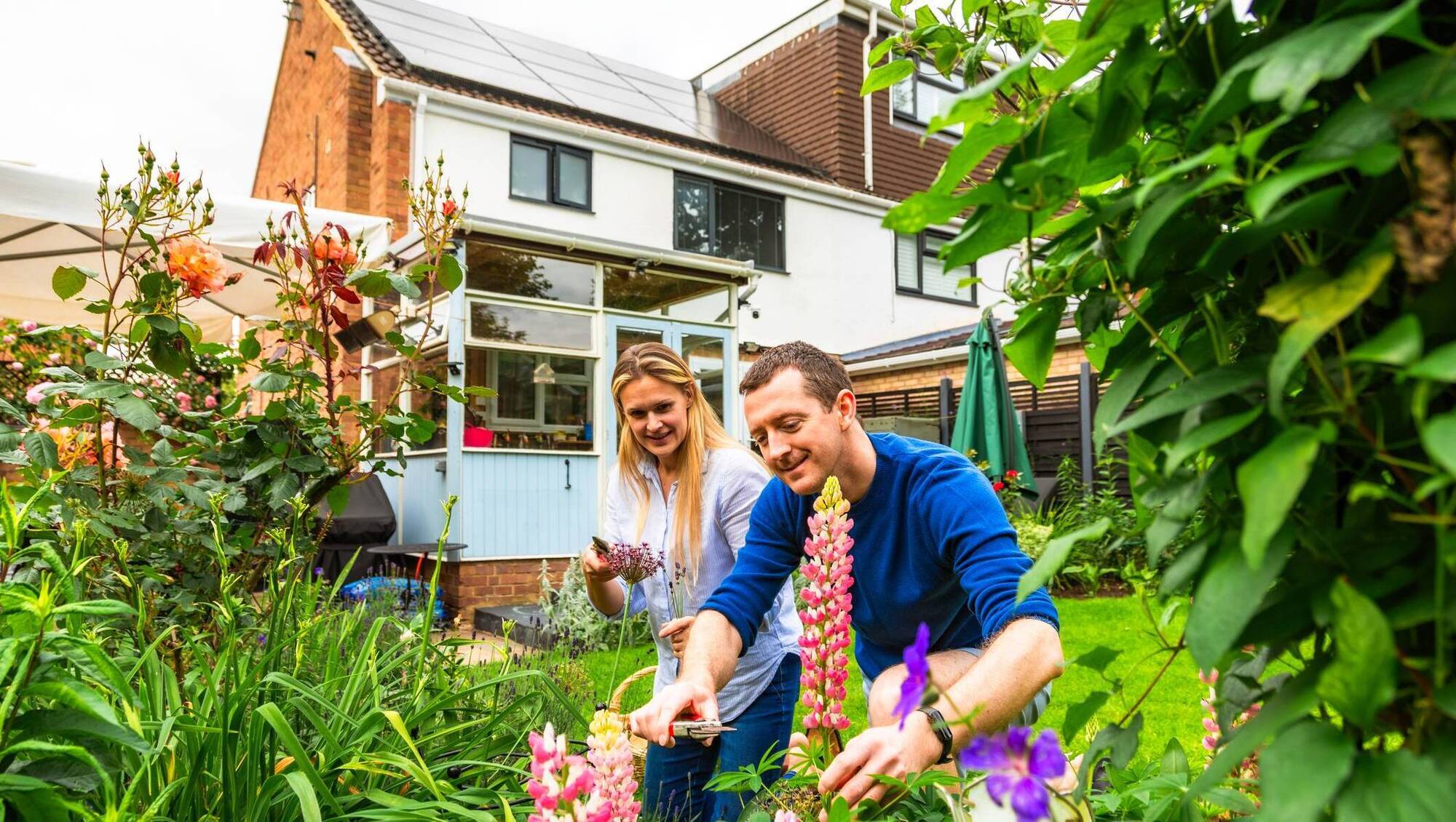 Let the sunshine in: Surge in demand for solar-PV among Irish homeowners 