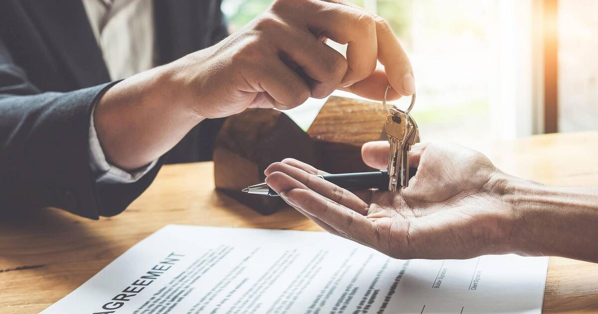 State’s largest private landlord to focus on Dublin as 'there just isn't scale in other parts of the country'