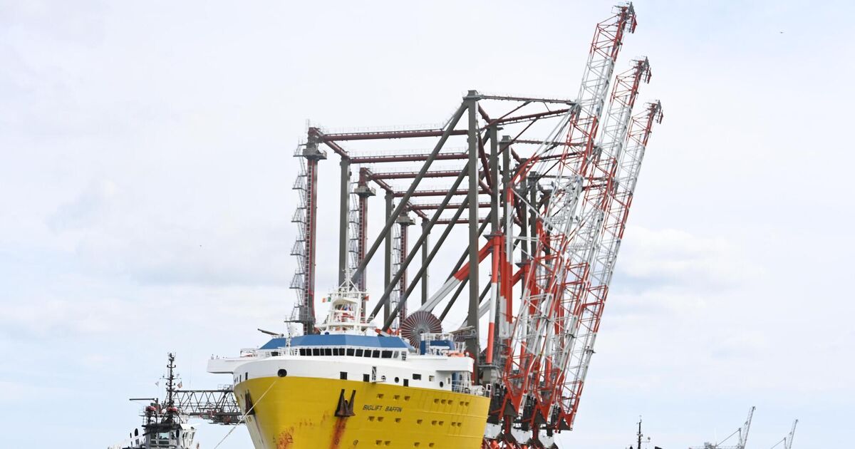 Kerry container crane giant Liebherr sees revenue jump to €379m