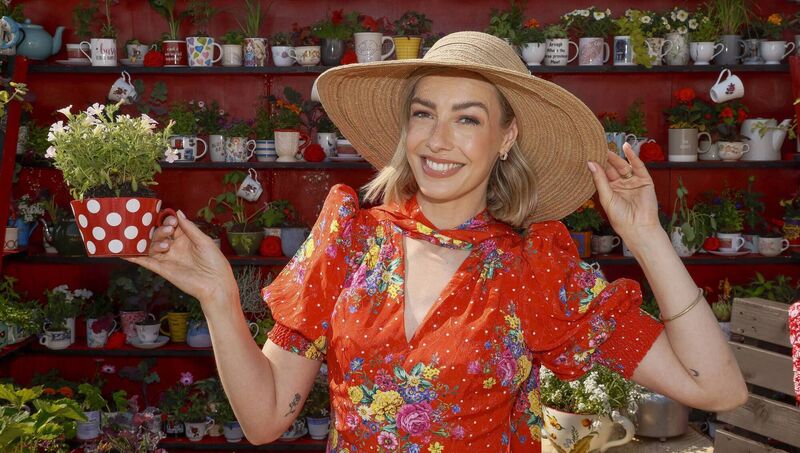 Bláthnaid Treacy in the Postcard Gardens at Bloom, supported by Tirlán Country Life. Picture: Peter Houlihan/Fennells Bláthnaid Treacy in the Postcard Gardens at Bloom, supported by Tirlán Country Life. Picture: Peter Houlihan/Fennells