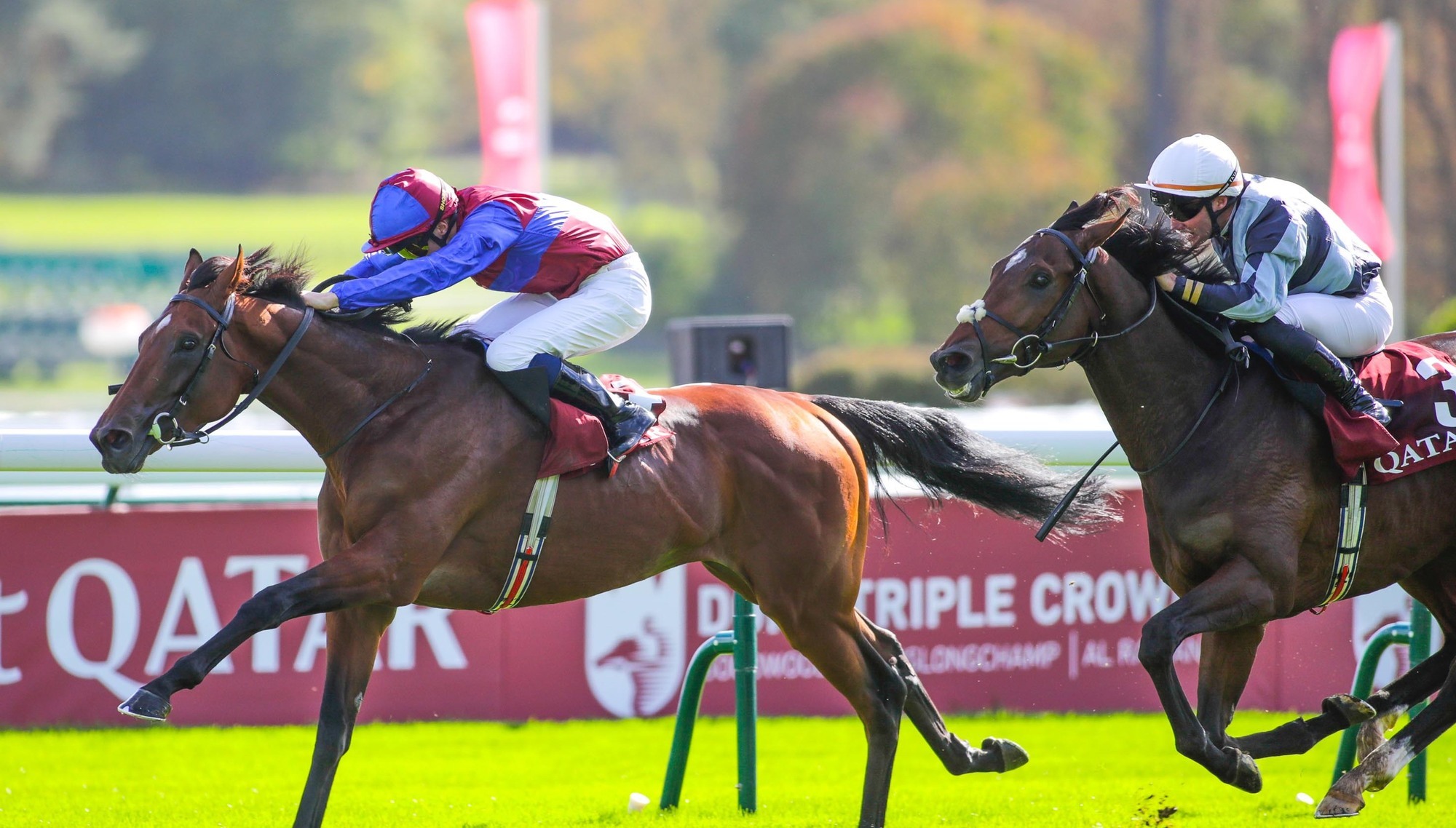 Tennessee Stud can making winning return at Down Royal