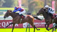  Tennessee Stud can making winning return at Down Royal