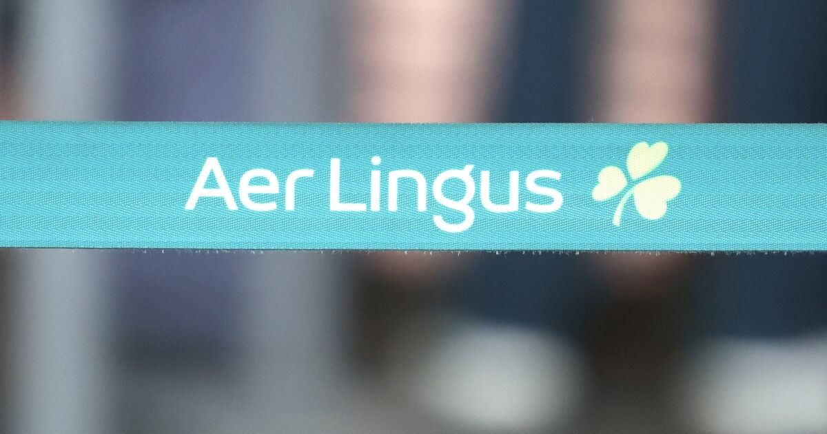 Pilots' union concerned about 'thinking outside the box' comments from Aer Lingus
