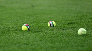 <p>A view of tennis balls featuring the Palestinian flag that were thrown on to the pitch. Pic: Ryan Byrne/Inpho</p>