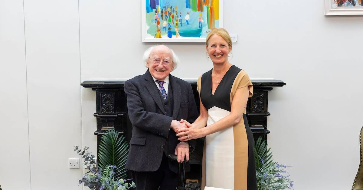 Trump's board of peace plans 'a land grab' in Gaza, says Higgins