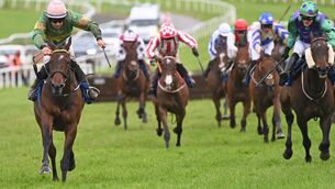 <p>Marian Avenue is first past the post in the Irish Wire Products Ltd Handicap Hurdle but was later disqualified with the race being awarded to Qaasid, right.  	Picture: Healy Racing</p>